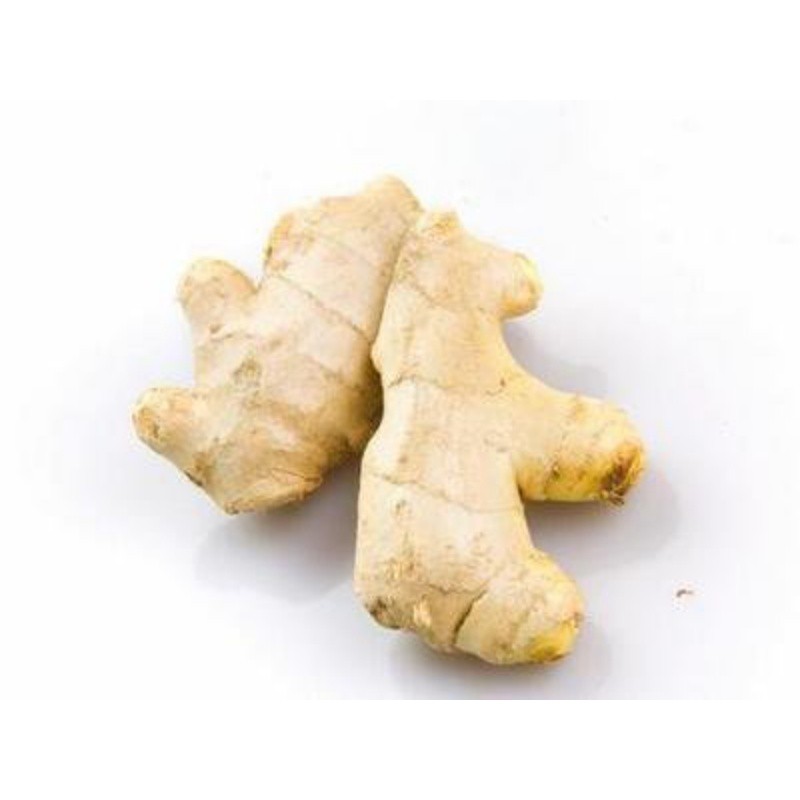 t01a08f15ee0807f781 t01a08f15ee0807f781