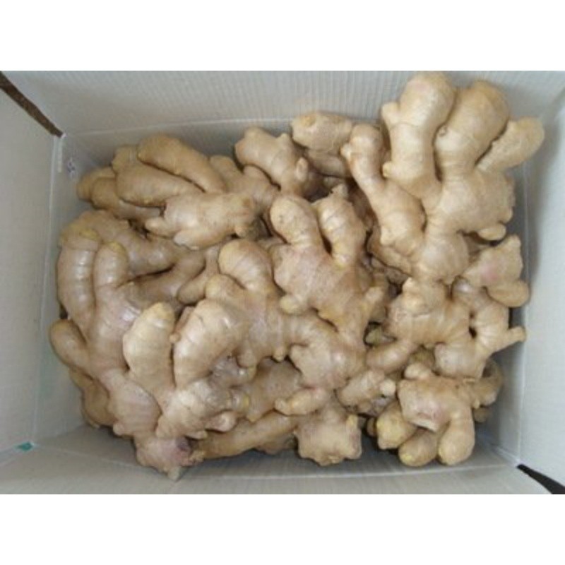 t01c1e4471ebf2a221e t01c1e4471ebf2a221e